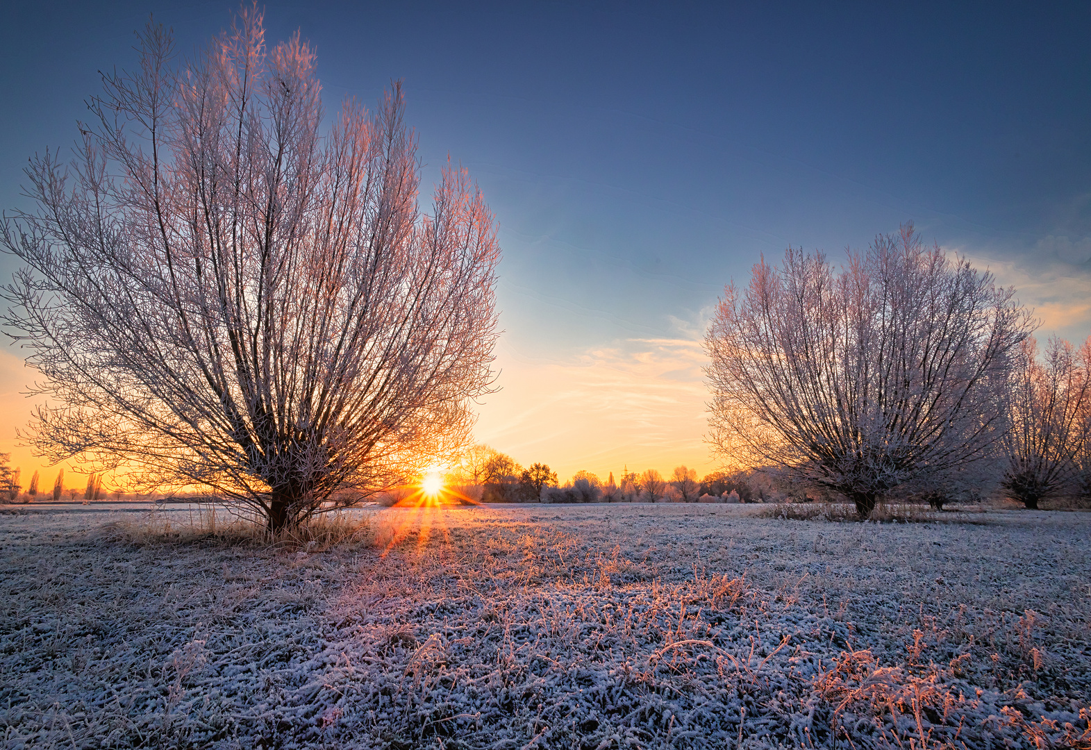 Winter am grossen Weserbogen