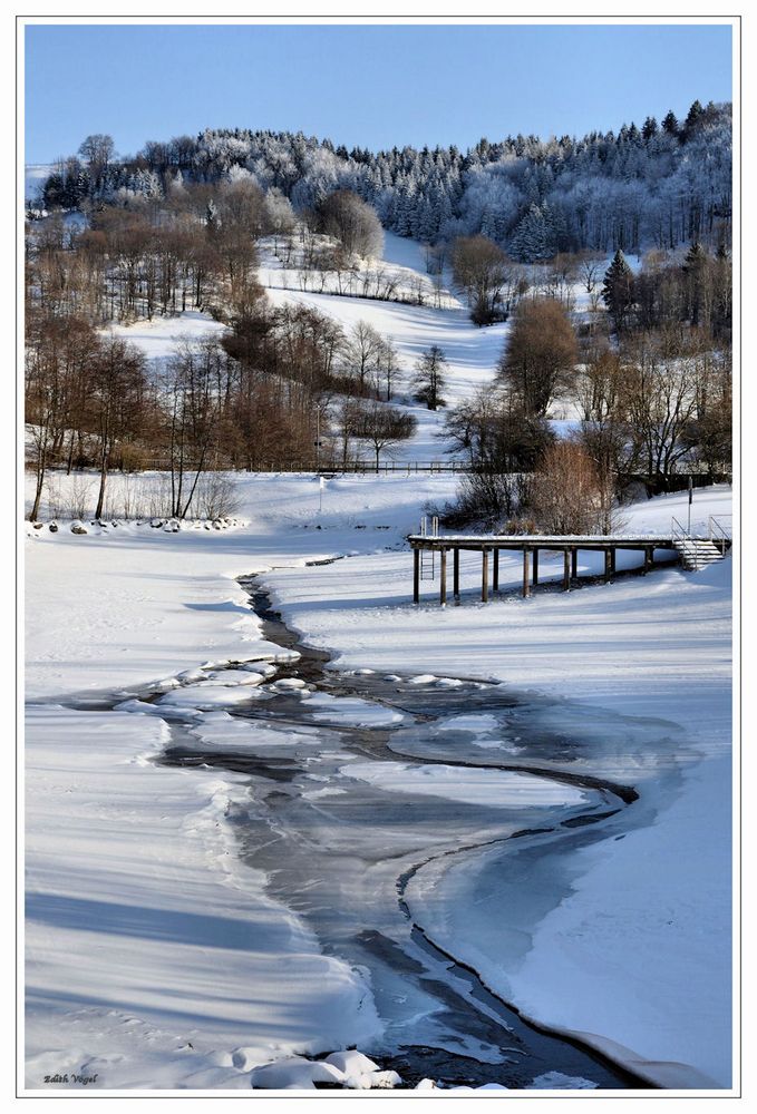 Winter am Guckaisee