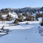 Winter am Guckaisee....