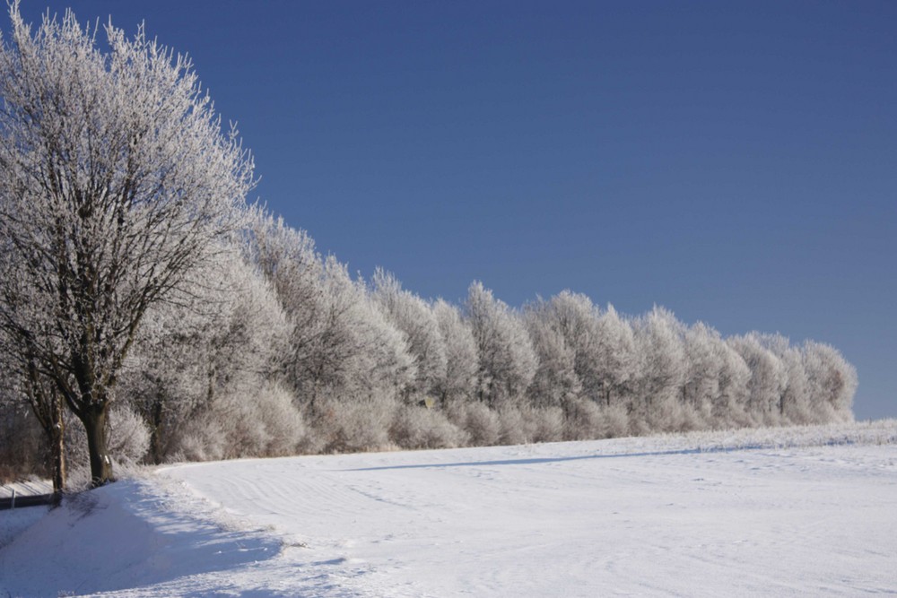 Winter am Haarstrang