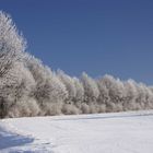 Winter am Haarstrang