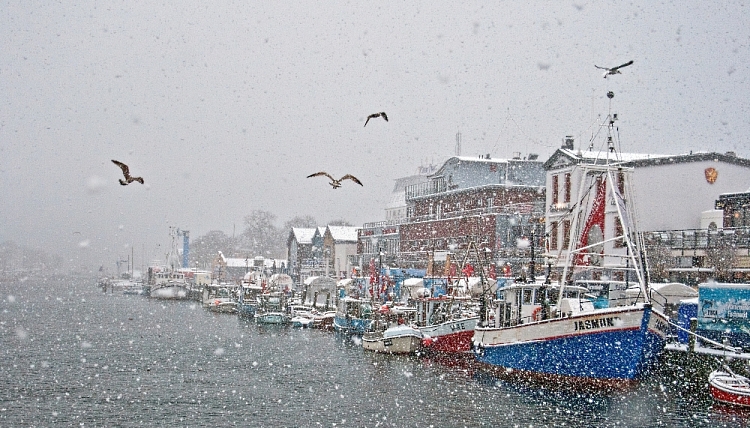 Winter am Hafen II