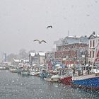 Winter am Hafen II