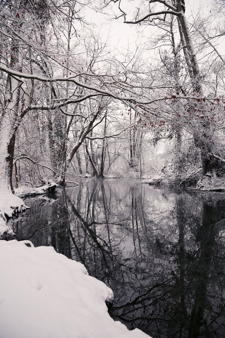 Winter am Hallwilersee