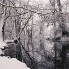 Winter am Hallwilersee