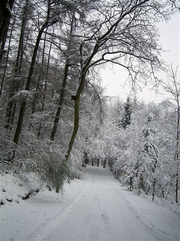 Winter am Hammberg