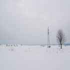 Winter am Harzrand