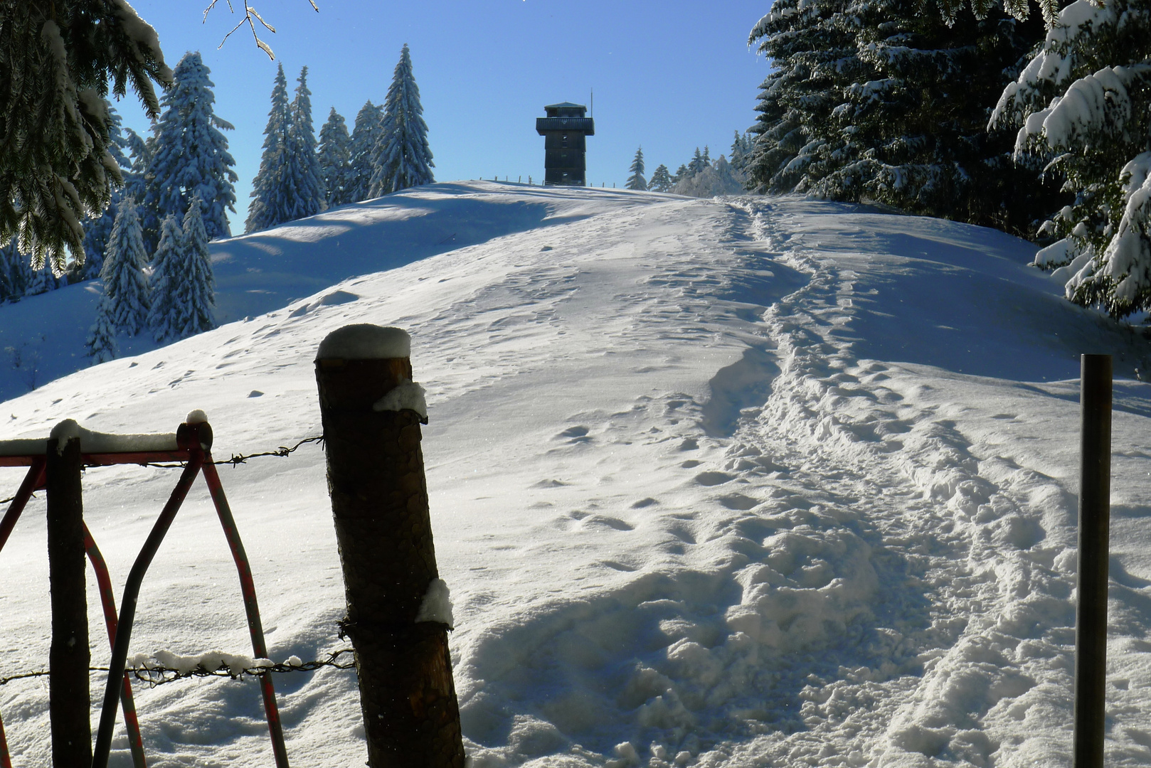 Winter am Hauchenberg