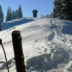 Winter am Hauchenberg