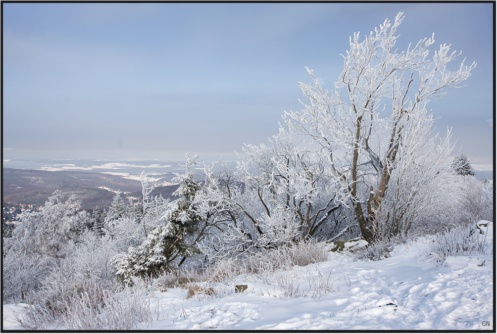 Winter am Hausberg