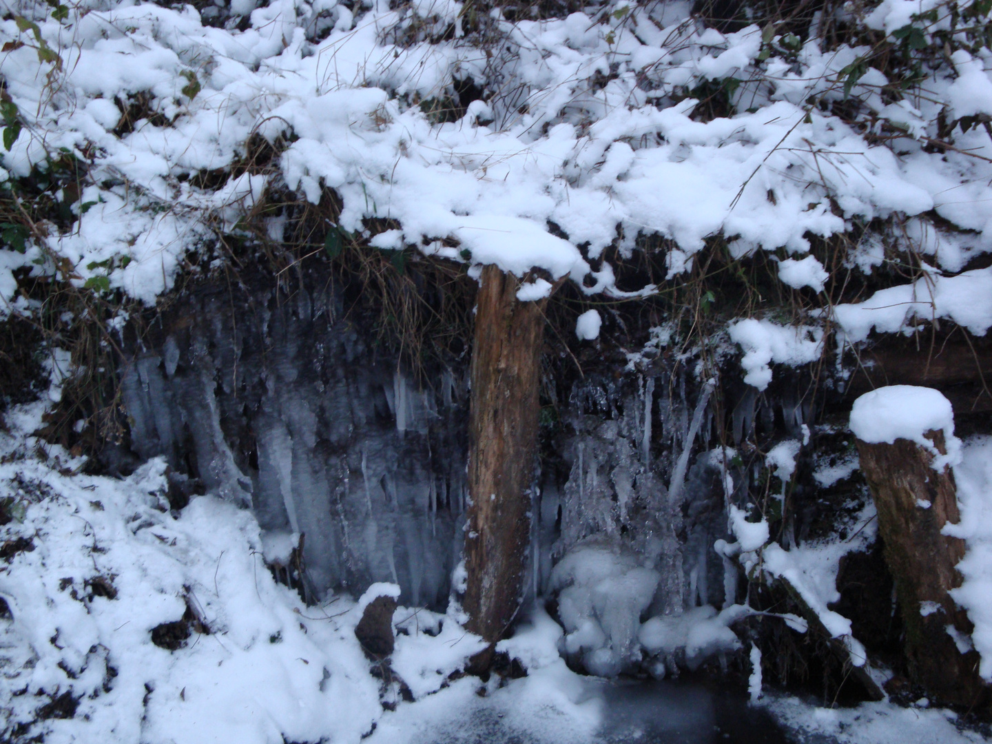 Winter am Heider Bergsee in Brühl