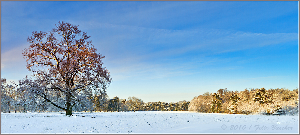 Winter am "Heiligen Meer"