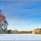 Winter am "Heiligen Meer"