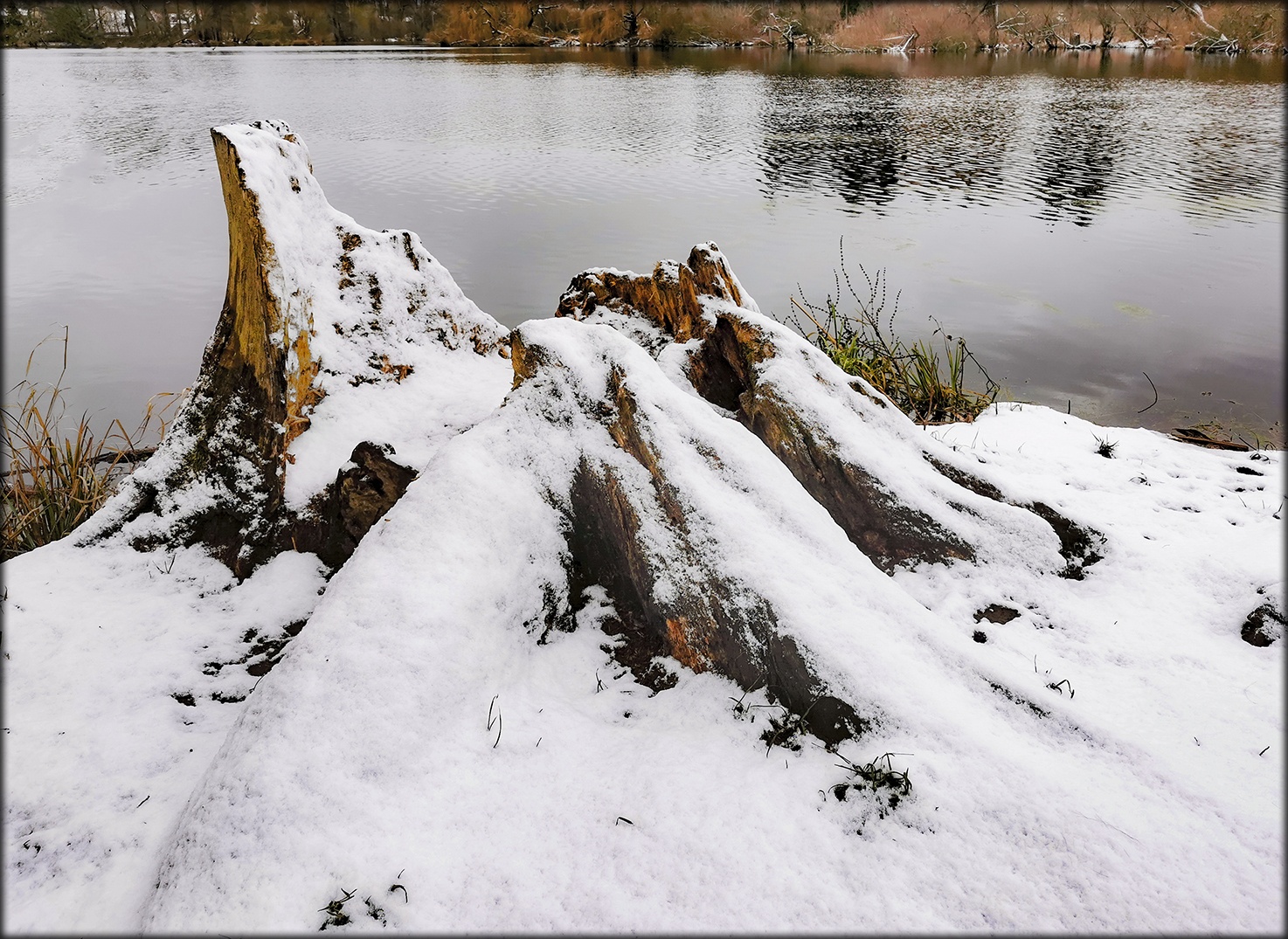 Winter am Hermsdorfer See