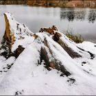 Winter am Hermsdorfer See