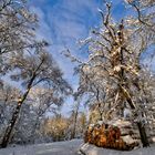 Winter am Hesselberg