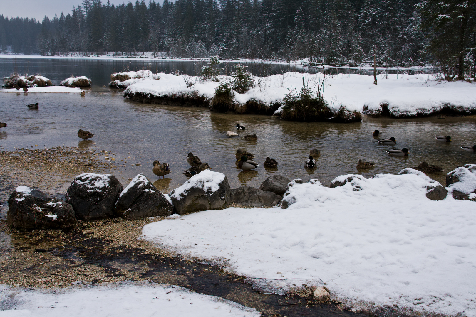 Winter am Hintersee