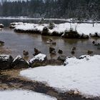 Winter am Hintersee