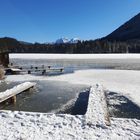 Winter am Hintersee im Berchtesgadener Land