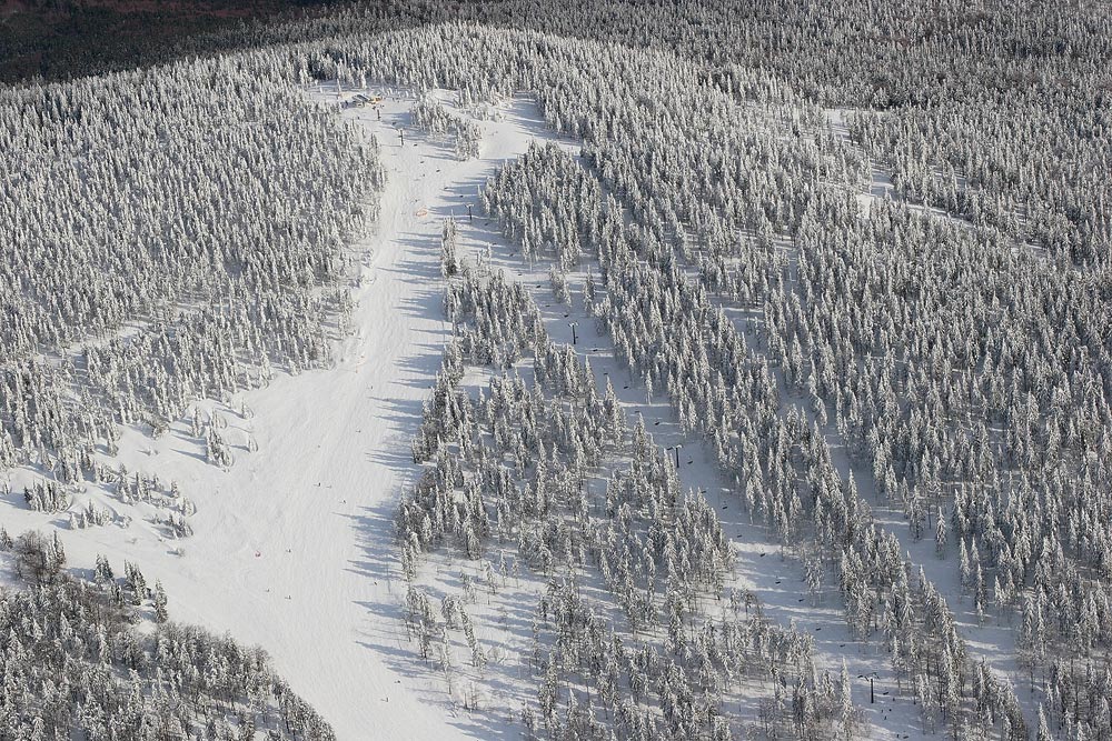 Winter am Hochficht