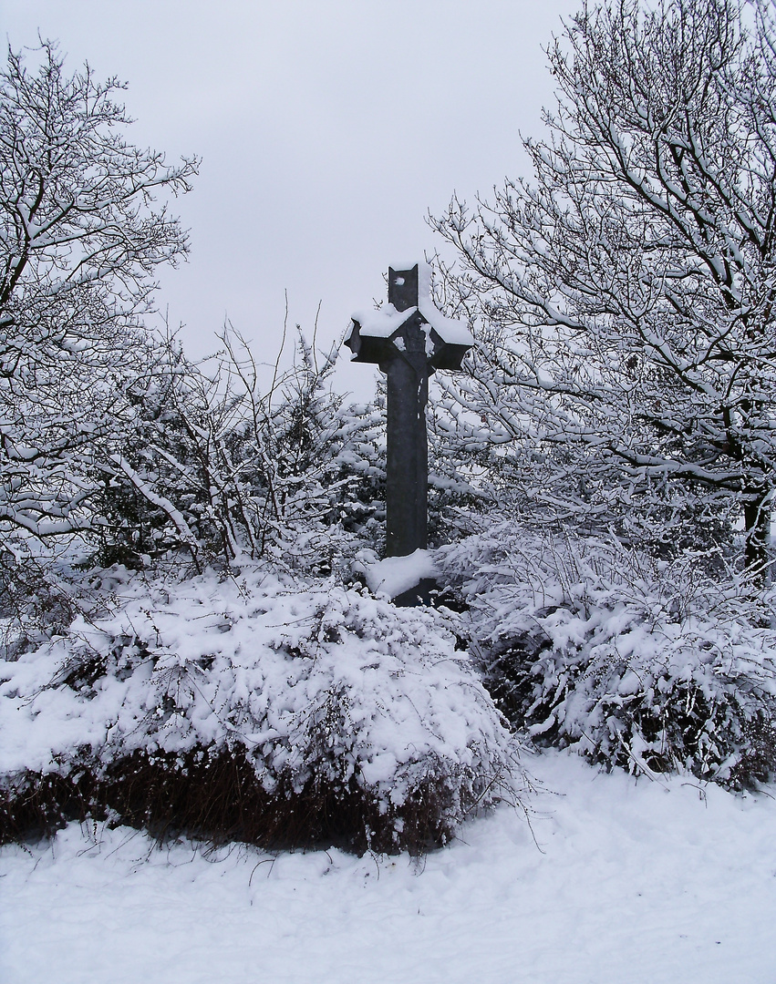 Winter am Hohen Kreuz