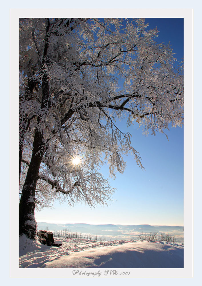 Winter am Hohenstaufen 01