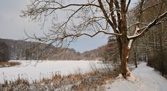 *Winter am Holzmaar*