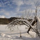 *Winter am Holzmaar III*