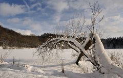 *Winter am Holzmaar III*