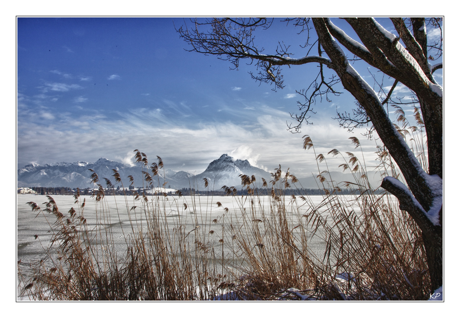 Winter am Hopfensee