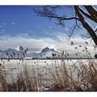 Winter am Hopfensee