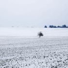 Winter am Hornbuger Sattel - Mansfelder Land