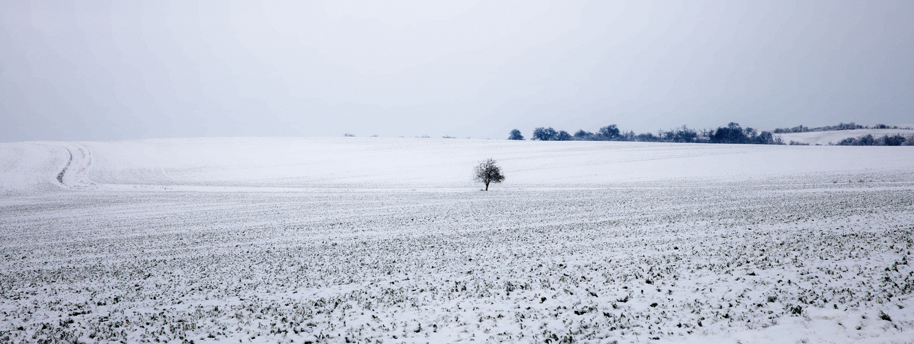 Winter am Hornbuger Sattel - Mansfelder Land