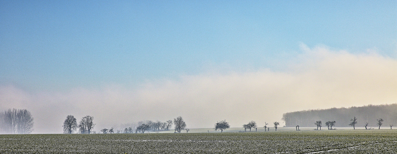 Winter am Hornburger Sattel