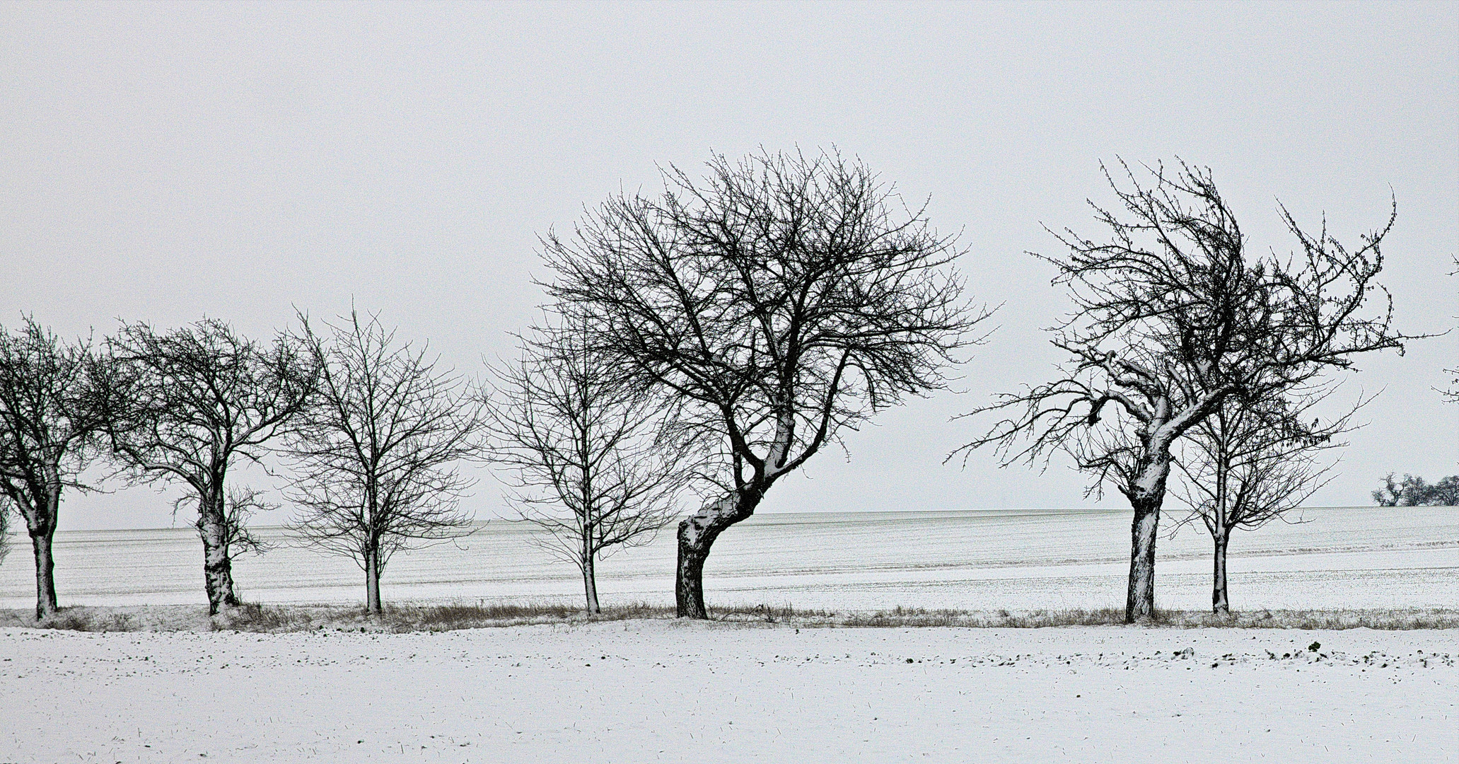 Winter am Hornburger Sattel - Mansfelder Land