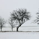 Winter am Hornburger Sattel - Mansfelder Land