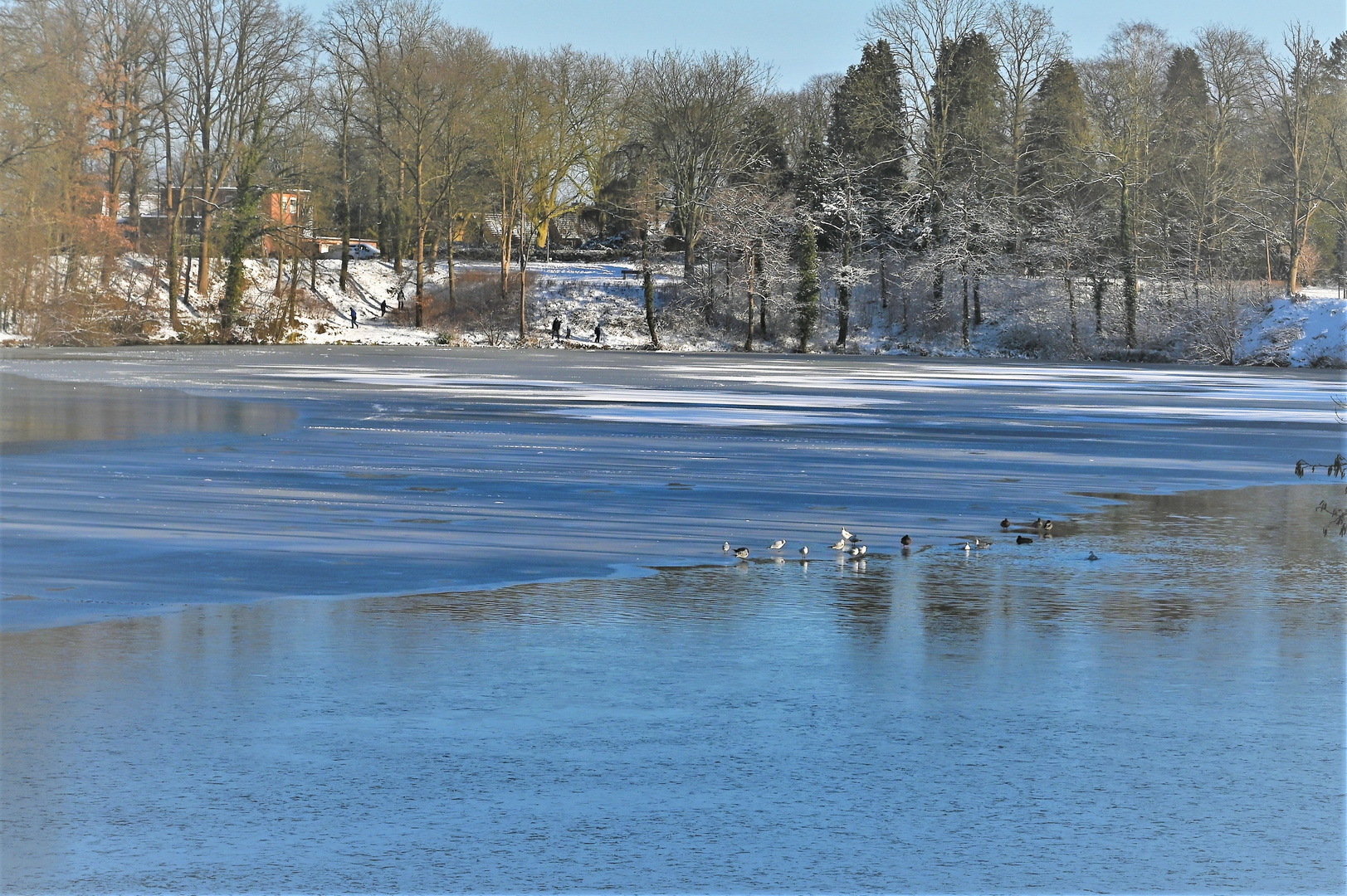 Winter am Horstsee