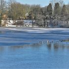 Winter am Horstsee