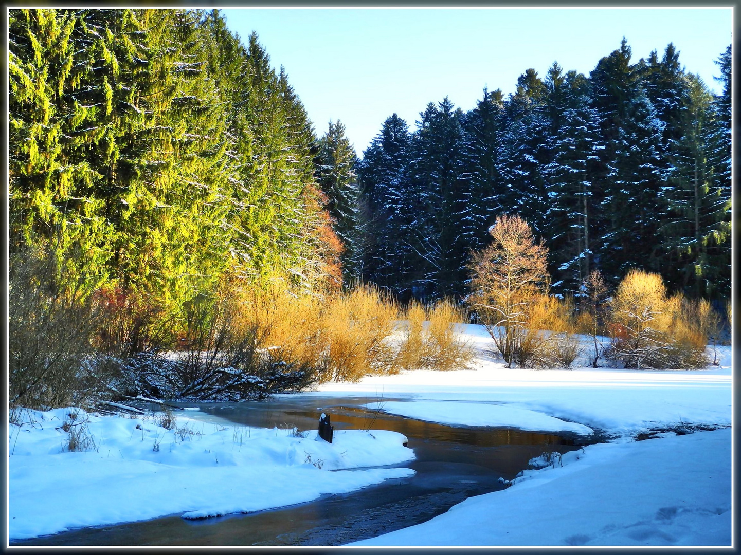 Winter am Hüttenbühlsee