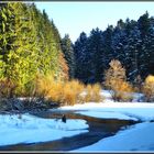 Winter am Hüttenbühlsee