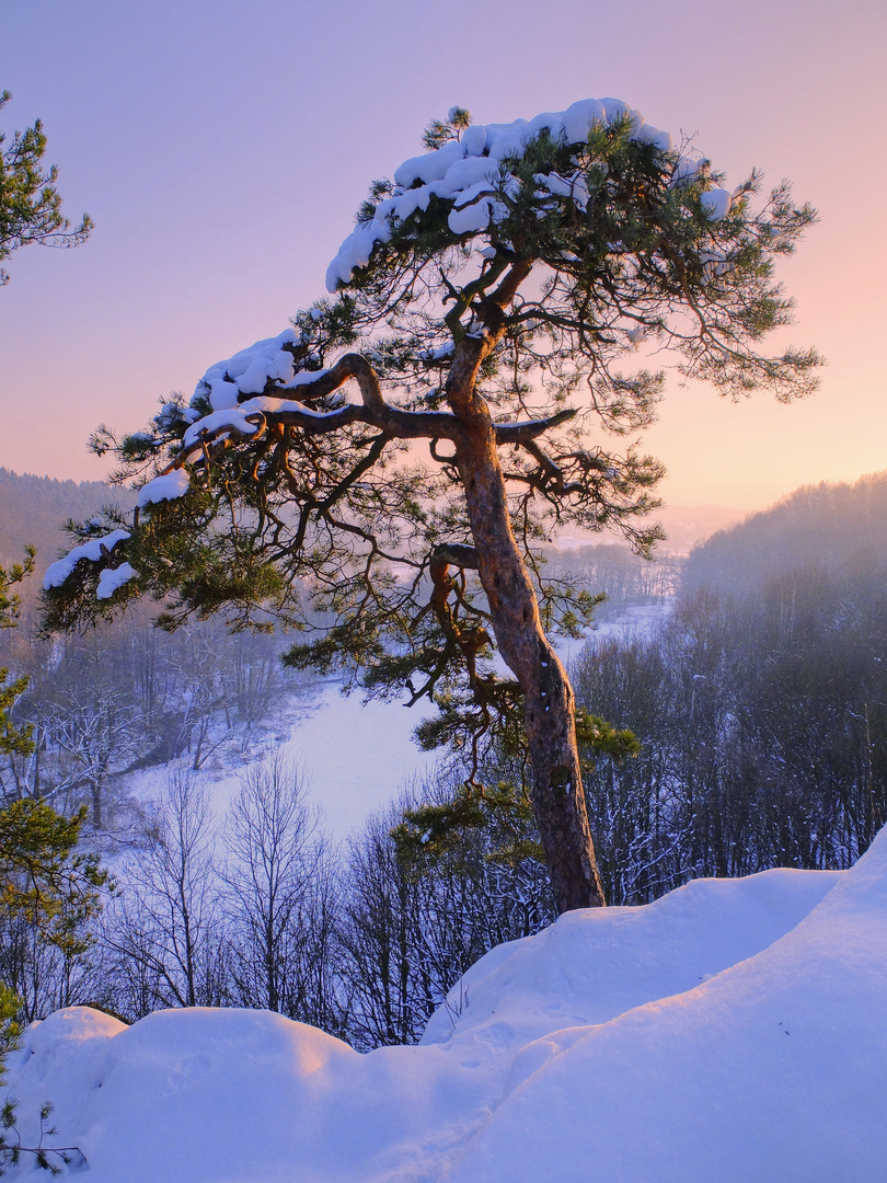 Winter am Hummelstein