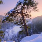 Winter am Hummelstein