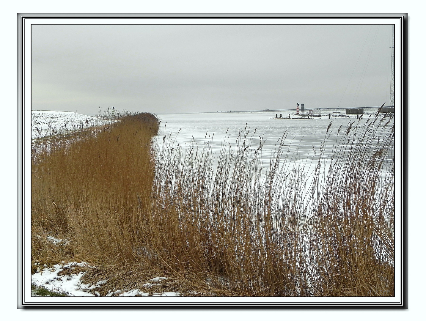 Winter am IJsselmeer