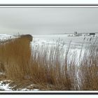 Winter am IJsselmeer