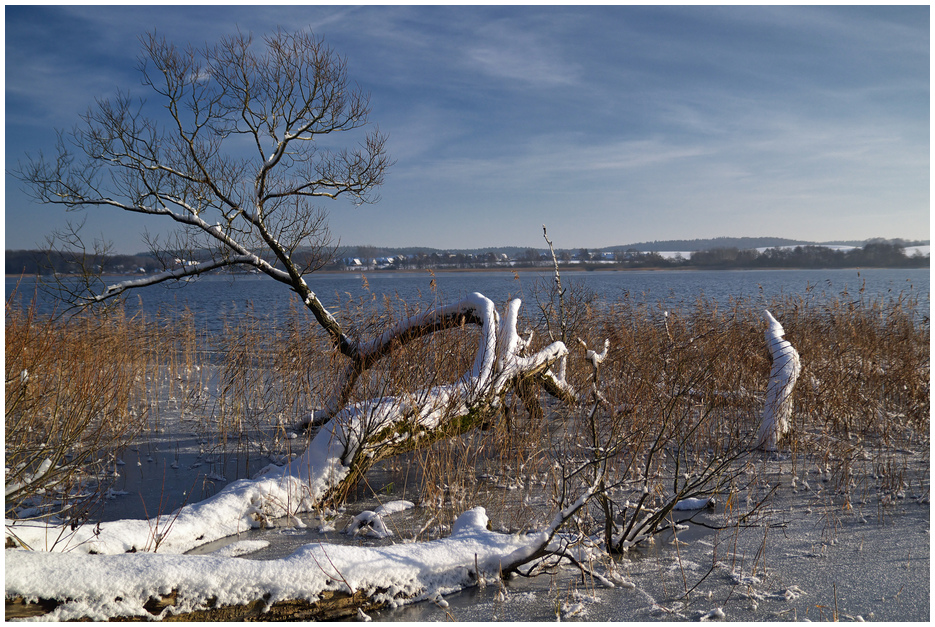 Winter am Inselsee