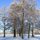 Winter am Inselsee