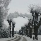 Winter am Johannisstein