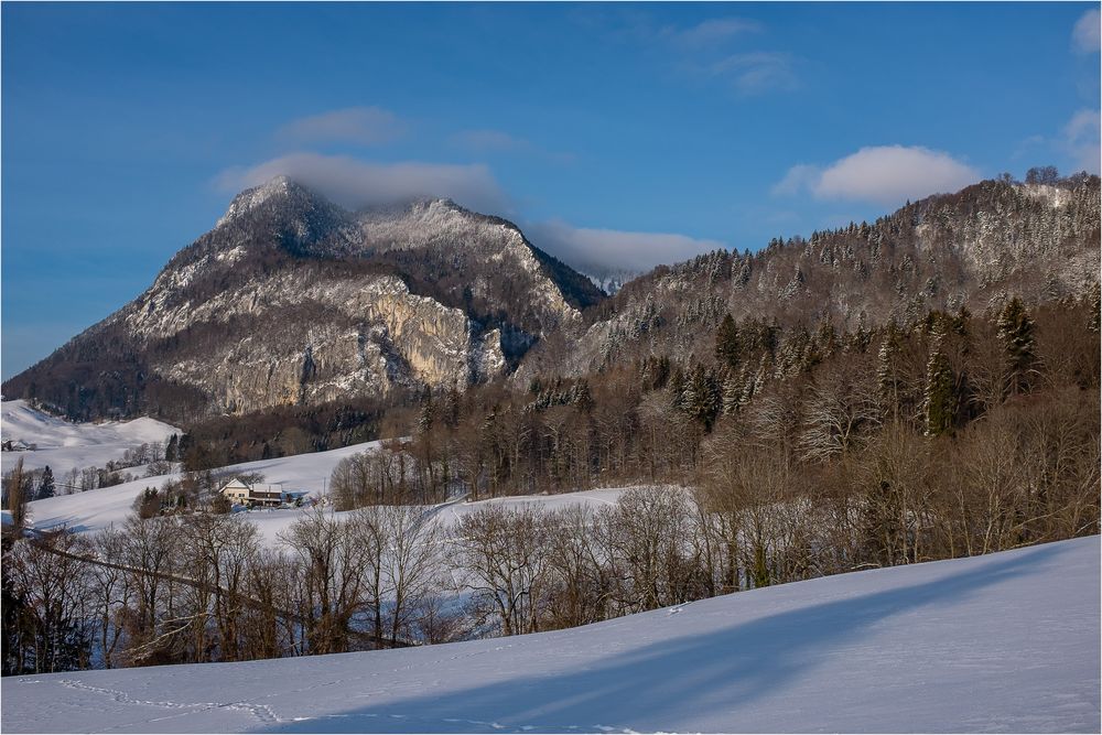 WINTER AM JURA