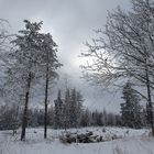 Winter am Kahleberg