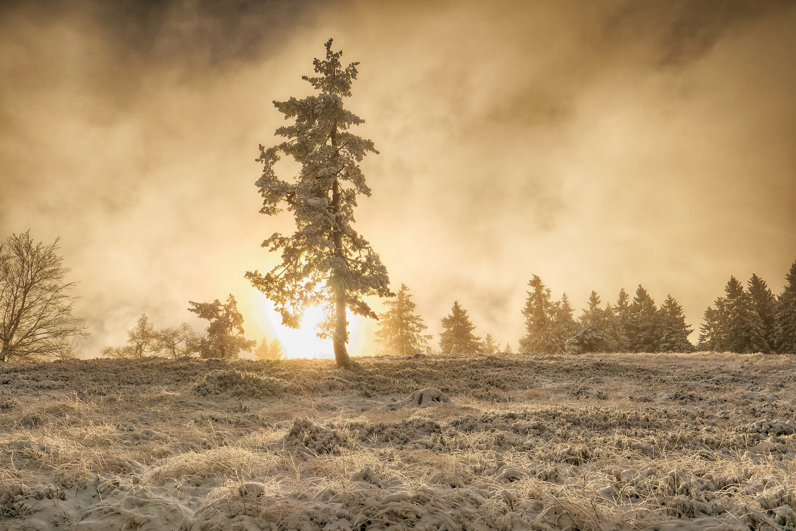 Winter am Kahlen Asten